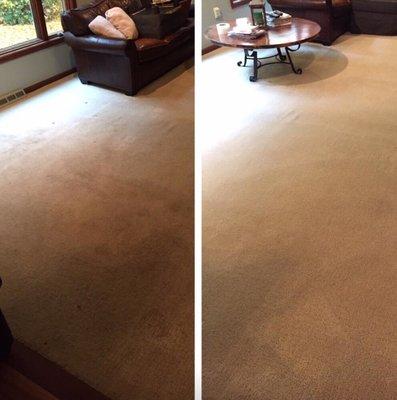 Carpet cleaning