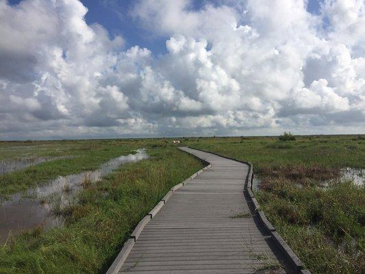 Risen path around the battlefield. Watch for snakes on the side bushes.