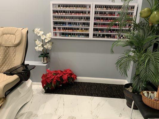 Front area & more shellac colors!