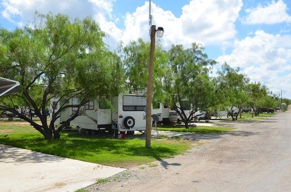 Shaded RV spaces with grass and concrete driveways.