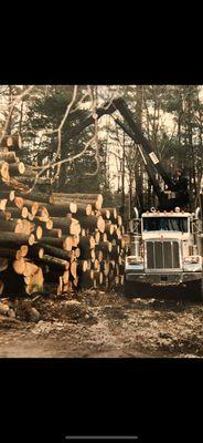 Tetreault & Son Forest Management