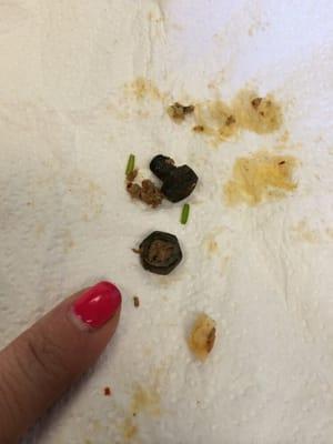 Found in 2 separate meals today. Never eating here again!