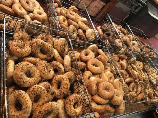 Hot fresh bagels ready togo