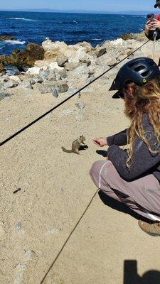 Zane being a squirrel whisperer.