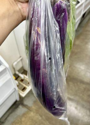 Chinese eggplant