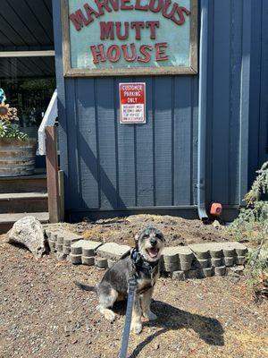 Marvelous Mutt House