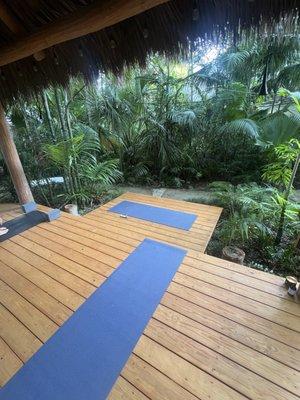 Serene view from my yoga mat