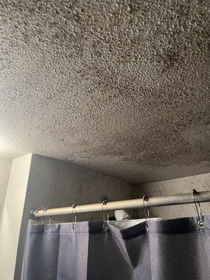 Mold covering ceilings and walls in bathroom.