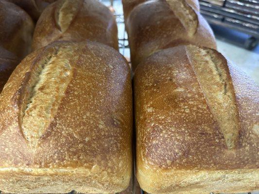 Fresh sourdough out of the oven