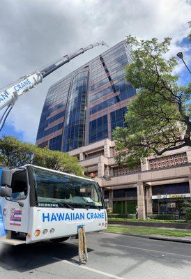 Hawaiian Crane working hard