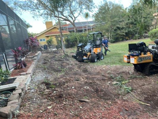 Full land clearing back yard