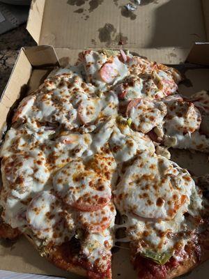 This is the pizza we got delivered. Looked like vomit and taste was not up to their standard's. Will not be spending my money there.