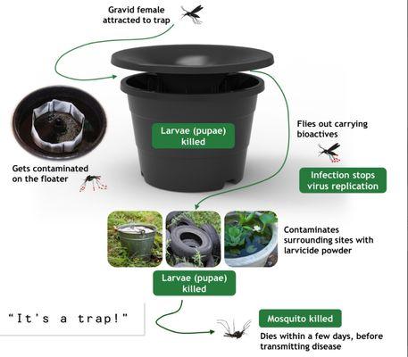 Spray less. Pay less. Control More. Cutting Edge Mosquito Trapping
 
 Mosquito Control