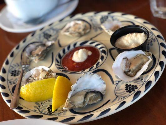 Shucked oysters