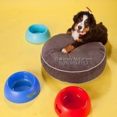 Dog beds and dog bowls.