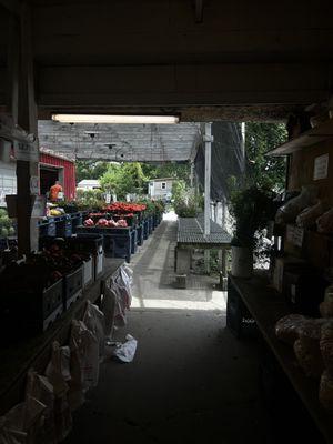 photo of shop indoors! fresh produce/fresh picked galore!