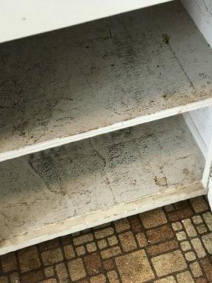 Inside kitchen cabinets before cleaning