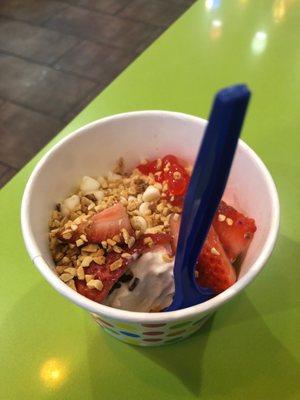 White chocolate frozen yogurt