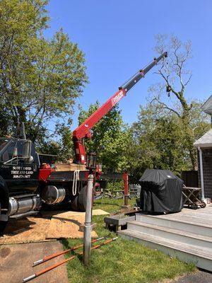 You cannot see it but this was a removal directly above two above ground 80 gallon propane tanks and a fence.  Not a problem for the team.