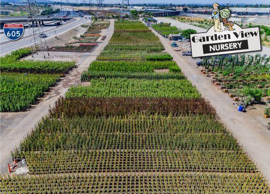 605 Freeway and Lower Azusa Road, Garden View Nursery