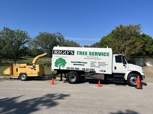 Rigo's Tree Service