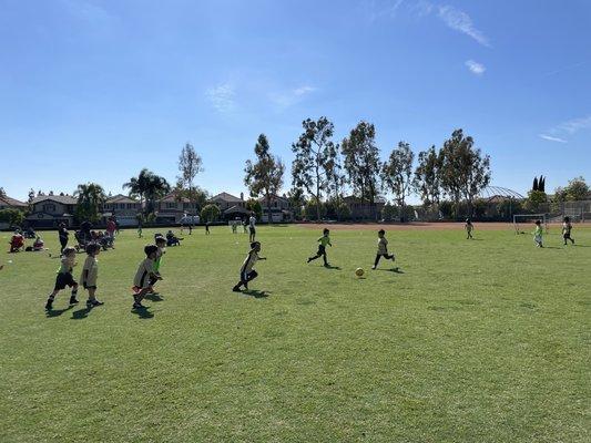 Scrimmage time is the best time in our 5yo boys group