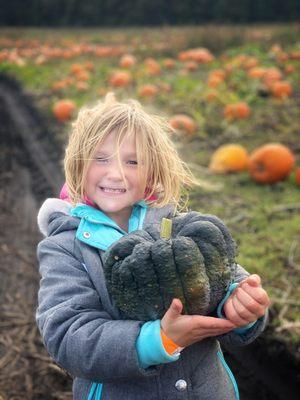 We are planting over 20,000 pumpkin seeds this year.