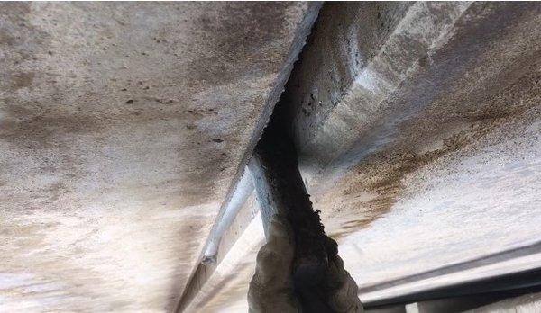 Austin Bat Refuge ensures no bats are harmed while sealing the crevices over the Trail Bridge.