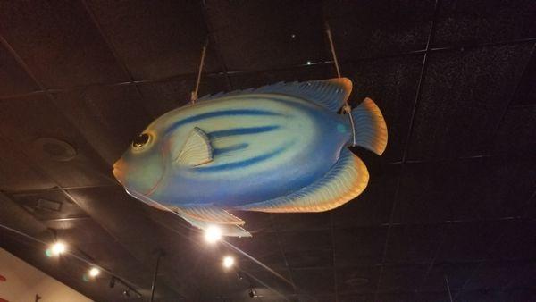 Themed decor at Driftwood's Seafood & Steak.