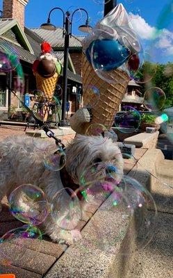 Bubbles in front of Polar Bear Ice Cream.