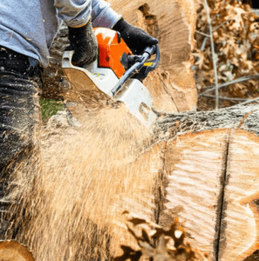 Vegas Brothers Tree Services & Landscaping