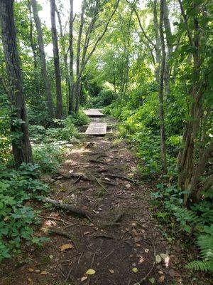 Path offers a variety of surfaces as well as some shade, although most of the trail is full sun.