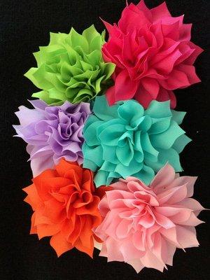 We have a great selection of bows. These hawaiian styles are a favorite.