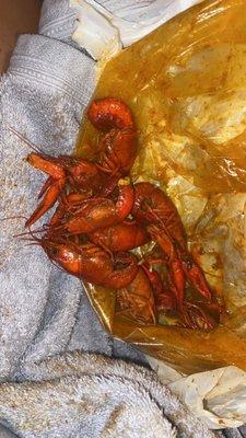 Tiny crawfish at 10.99 a pound and it's crawfish season. So disappointed not eating these I want my money back.