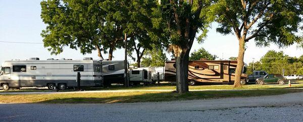 Lots of shade at Cooks RV Motor Park