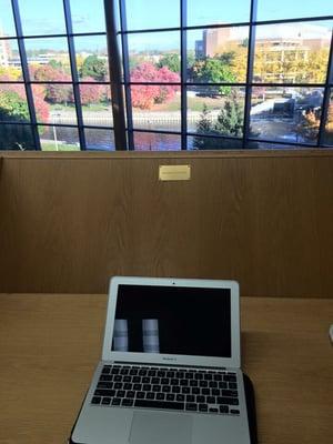 Study Carrel View, Thompson Library.