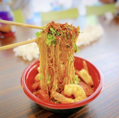 Anti-Gravity House Noodles