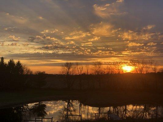 Our sunsets are THE BEST. This one was taken mid-November.