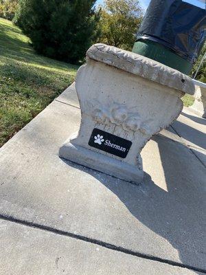 So sweet! Bench in memory of someone's dog