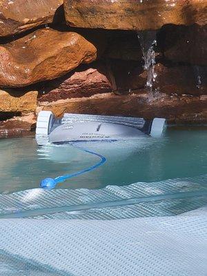 Pentair Prowler scrubbing the pool wall at the waterline.