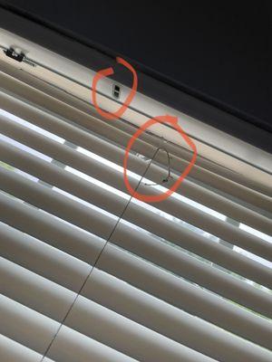 Cleaners broke my blinds