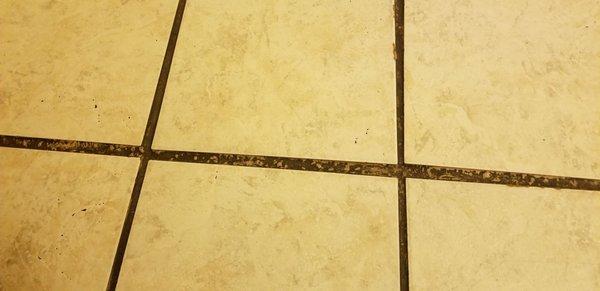 Grout in women's restroom is filthy :(