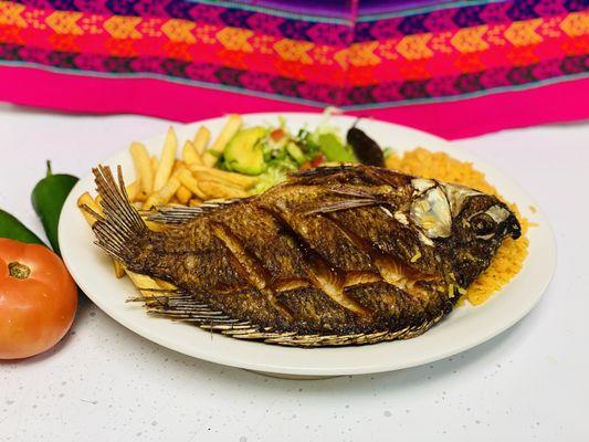 Mojarra / Tilapia