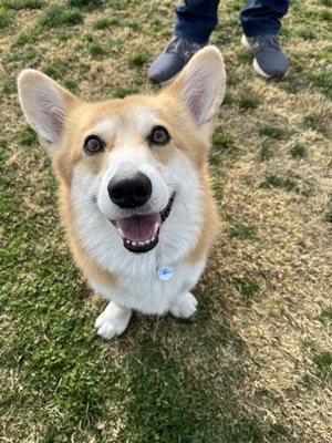 Pup loved the park!