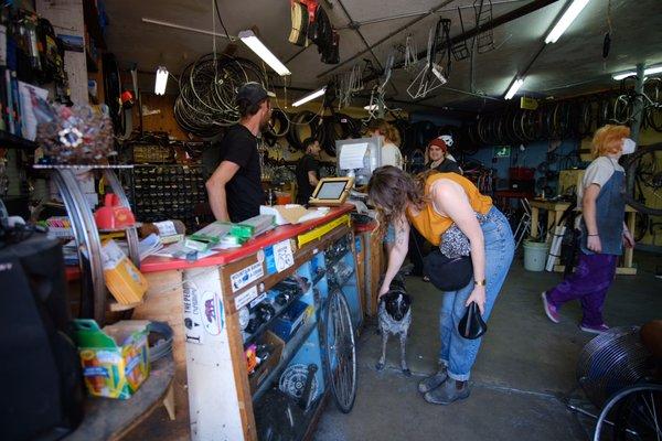 Shop dog gets pets on a busy Sunday afternoon.