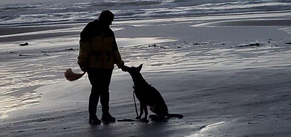 She was a great tent camping friend and protector on Oregon Coast. 9 month GSD.