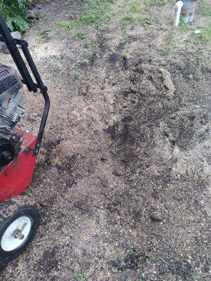 Stump Grinding