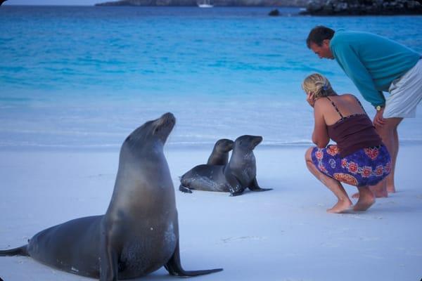 Galapagos Islands