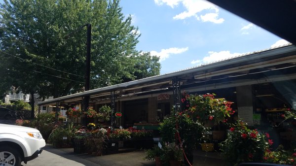 Best local farm stand. Front of stand