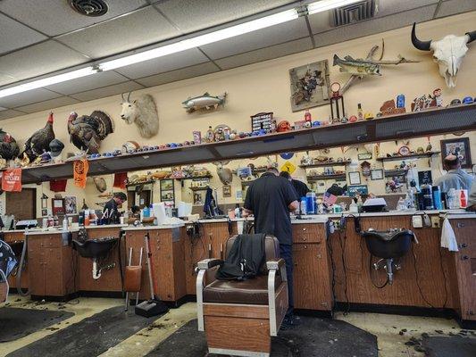 Paradise Park Barber Shop